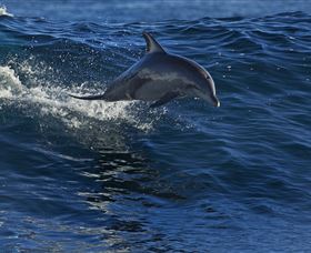 Town Centre - Tourism Gold Coast 1