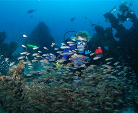 Aarhus Dive Site - Tourism Gold Coast 0