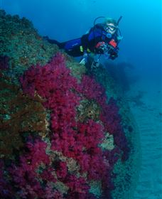 Aarhus Dive Site - Tourism Gold Coast 2