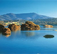 Wagonga Picnic Area - Tourism Gold Coast