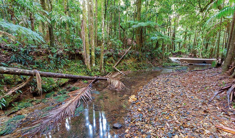 Karangi NSW Tourism Gold Coast