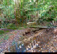 Ulidarra National Park - Tourism Gold Coast