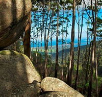 Mount Gulaga Mount Dromedary Walk - Tourism Gold Coast