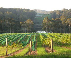 Bellbird Scenic Drive Tilba - Tourism Gold Coast 3