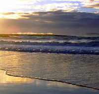 Handkerchief Beach Picnic Area - Tourism Gold Coast
