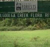 Woolgoolga Creek Flora Reserve - Tourism Gold Coast