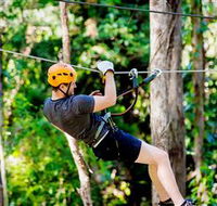 TreeTop Challenge Currumbin - Tourism Gold Coast