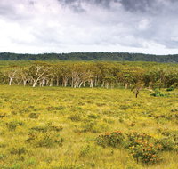 Yuraygir National Park - Tourism Gold Coast
