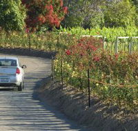 Cassegrain Wines - Tourism Gold Coast