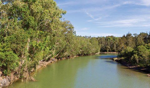 Woolgoolga Lake - Tourism Gold Coast 1