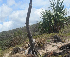 Chinamans Beach Evans Head - Tourism Gold Coast 2