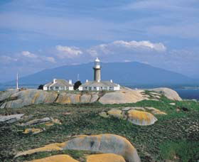 Montague Island Nature Reserve - Tourism Gold Coast 0