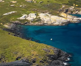 Montague Island Nature Reserve - Tourism Gold Coast 1