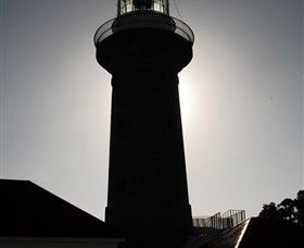 Montague Island Nature Reserve - Tourism Gold Coast 4