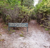Angophora grove walking track - Tourism Gold Coast
