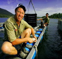 Armstrong Oysters - Tourism Gold Coast