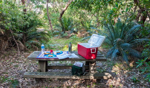 Broadwater Beach Picnic Area - Tourism Gold Coast 0