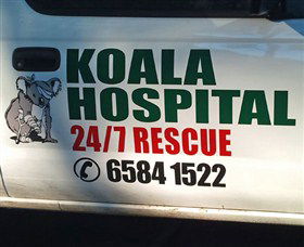 Koala Hospital - Tourism Gold Coast 8