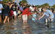 Dolphins Of Monkey Mia - thumb 1