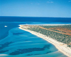 Monkey Mia WA Tourism Gold Coast