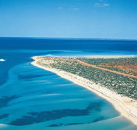 Monkey Mia - Tourism Gold Coast