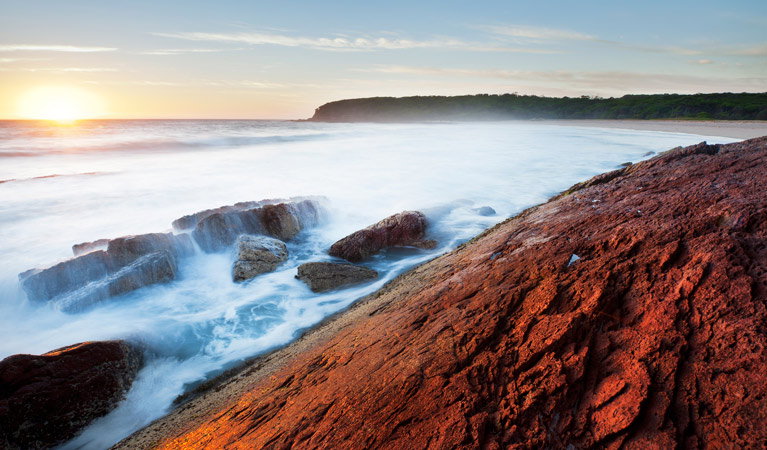 Edrom NSW Tourism Gold Coast