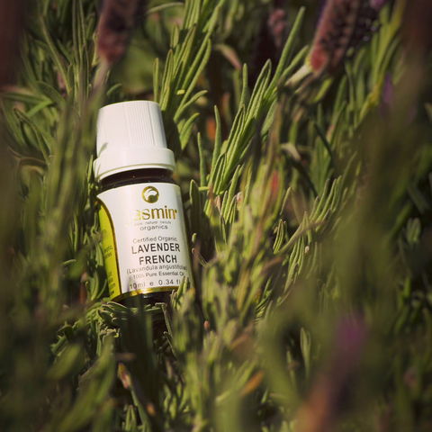 Jasmin Organics Skincare Farm And Factory - Tourism Gold Coast 7