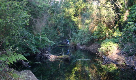 Nadgee Nature Reserve - Tourism Gold Coast 2