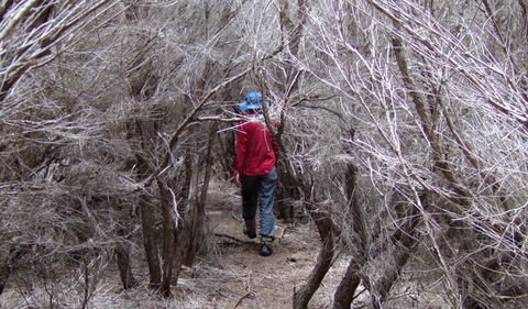 Nadgee Nature Reserve - Tourism Gold Coast 3