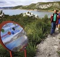 Rocky Cape National Park - Tourism Gold Coast