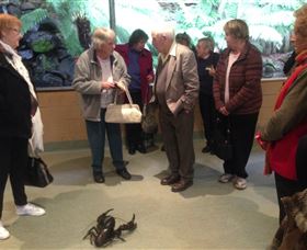 Lobster Ponds - Gold Coast 1