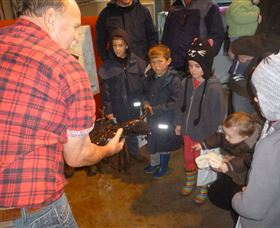 Lobster Ponds - Gold Coast 3