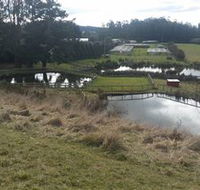 Guide Falls Farm - Tourism Gold Coast