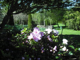 Annsleigh Gardens And Cafe - Tourism Gold Coast 3