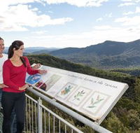 Whyte Hills Lookout - Tourism Gold Coast