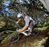 All Terrain Cycles - Tourism Gold Coast