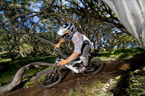 All Terrain Cycles - Tourism Gold Coast 0