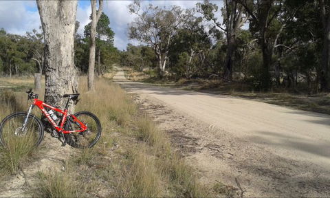 Granite Belt Bicycle Tours And Hire - Tourism Gold Coast 4