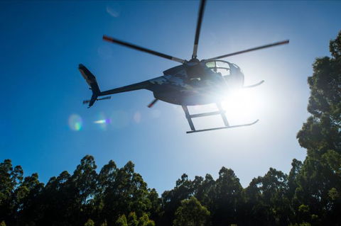 Tall Timbers Adventure Tours - Tourism Gold Coast 4