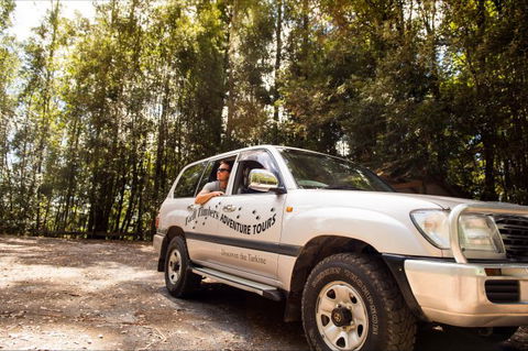 Tall Timbers Adventure Tours - Tourism Gold Coast 10