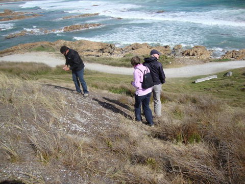 Tall Timbers Adventure Tours - Tourism Gold Coast 12