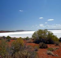 Gawler Ranges Wilderness Safaris - Tourism Gold Coast