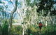 Thorsborne Trail, Hinchinbrook Island National Park - thumb 0