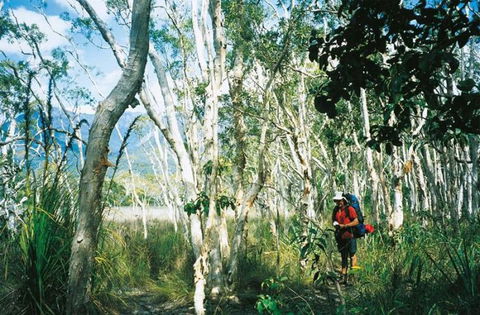 Thorsborne Trail, Hinchinbrook Island National Park - Tourism Gold Coast 0