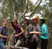 Echidna Walkabout Nature Tours - Tourism Gold Coast