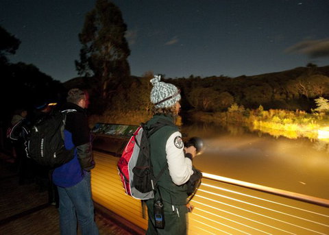 Naturewise At Tidbinbilla - Tourism Gold Coast 1