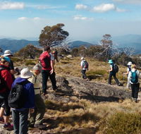 Hedonistic Hiking - Tourism Gold Coast