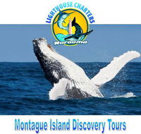 Lighthouse Charters Narooma - Tourism Gold Coast