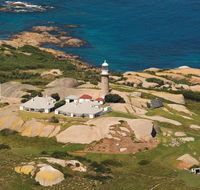 Naturewise Montague Island Nature Escape - Tourism Gold Coast