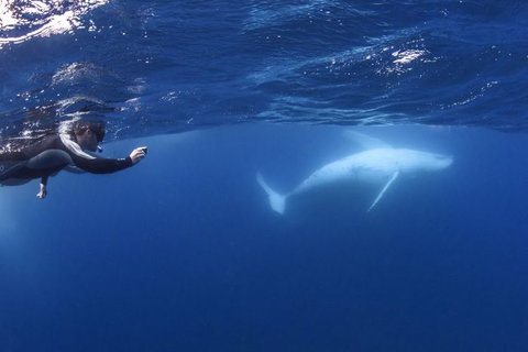 Sunreef Mooloolaba - Gold Coast 3